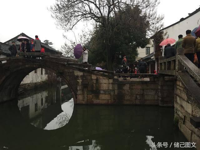 救援小橘猫
